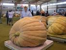 2007 - Joe Jutras and his 1689 pound World Record!