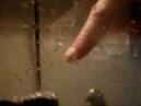 The dangers of eating sea turtle meat - Worldnews.