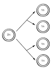 Reproduction: Protists and Fungi