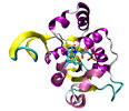 Adenosine triphosphate - Wikipedia, the free encyclopedia