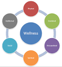 WWE: The Truth Behind Wellness Policy