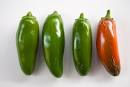 Tip: How to Check for the Hotness of Jalapenos | Simply Recipes