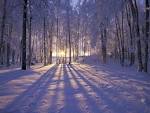 Tickets for Seasonal Salutation: WINTER SOLSTICE in Rochester from.