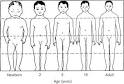 development and growth: school age and adolescence: Information ...
