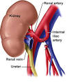 Avoiding heavy doses of medicines post kidney transplantation ...