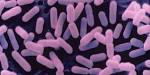 o-LISTERIA-facebook.jpg