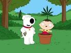 420. Stewie and Brian attempt