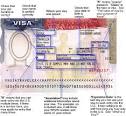 Questions About Visas?