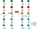 Antibiotics that affect the cell envelope