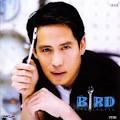 ฟังเพลงใหม่ เพลงฮิต เพลงมาใหม่ เพลงใหม่ๆ - Part 97