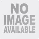http://petsright.com/store/image/1834900576584569/save-20-off-on-dog-toys-treats-food-beds-flea-control-at-dog-com/