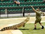 File:Steve irwin at Australia zoo.jpg - Wikipedia, the free ...