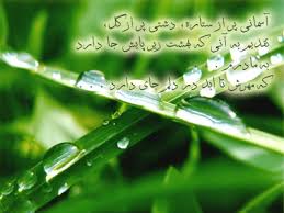 [تصویر: images?q=tbn:ANd9GcSKZ7UXkOCnwMRqogJzqug...cdojc11Otw]
