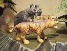 Paleocene Eocene Diatryma Gastornis Moertherium Barylambda ...