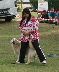 Dog Dancing Demonstration. Dog Microchipping - dancing99jpg