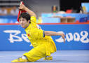 Wushu Kung Fu, Types of Martial Arts Styles