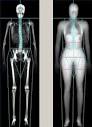 Body Composition Fat Analysis