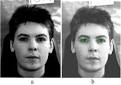 (a) Original images and (b)
