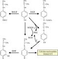 ScienceDirect.com - Mutation Research/Fundamental and Molecular ...
