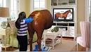 Wii home schooling