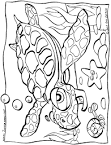Sea Turtle coloring page