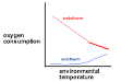 ectotherms and endotherms