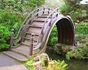 The Asian Gardens of Portland | Landscaping Ideas