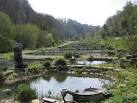 Horsley Mill fish ponds - via Daymix