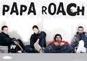 Image Papa Roach   I Almost Told You Picture