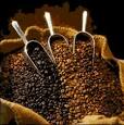 How to buy cheap coffee beans | Buy Cheap Coffee