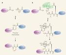 Figure 1 : Bioorganic chemistry: A sweet synthesis : Nature