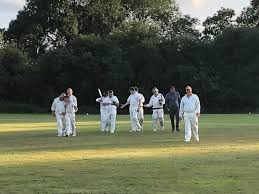 Image result for Downe Cricket Club