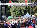 Billy Bragg on the Rooster - via Daymix