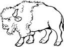 Buffalo coloring page