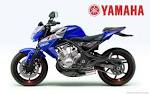Nouveauté 2009 : Une nouvelle Yamaha RD et TDR 350?? - 350 cm3 ...