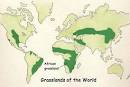 The African Veldt and Savannah -- Exploring Nature Educational ...