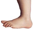 File:Monty python foot.png - Wikipedia, the free encyclopedia