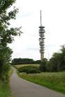 TL1291 : Telecommunication and transmission masts on Morborne Hill - via Daymix