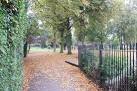 Autumn Leaves, Miners Welfare - via Daymix