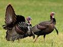 HowStuffWorks "Hunting Seasons"