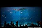  Live Chat with Shark Tanks Daymond John