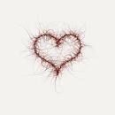 I Heart Processing | Flickr - Photo Sharing!