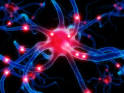 Enhance Hormonal Balance: How Unbalanced Hormones Can Affect Your ...
