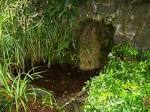 Wetland lake swamp free stock - via Daymix