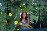 <b>Luffa</b>: Grow Your Own Sponges