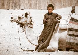 Junge mit Kamel - Bild \u0026amp; Foto von Peter Golombek aus Hurghada und ...