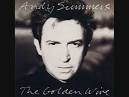 Andy Summers