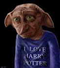 LIFE IS A ROLLERCOASTER: RIP DOBBY