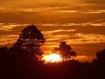 sunrise in louisiana (sunrise - via Daymix
