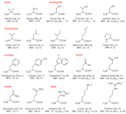 Amino Acid Structures, NEB